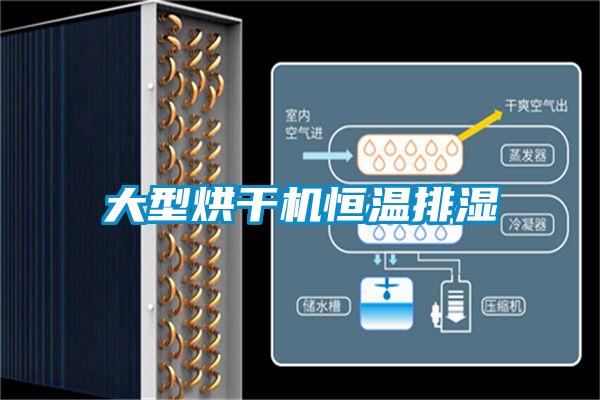 大型烘干機(jī)恒溫排濕