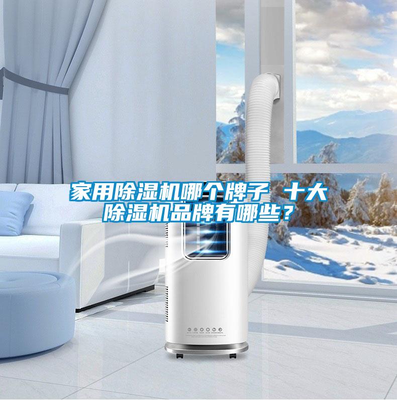 家用除濕機(jī)哪個(gè)牌子 十大除濕機(jī)品牌有哪些？