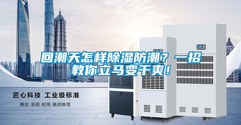 回潮天怎樣除濕防潮？一招教你立馬變干爽！