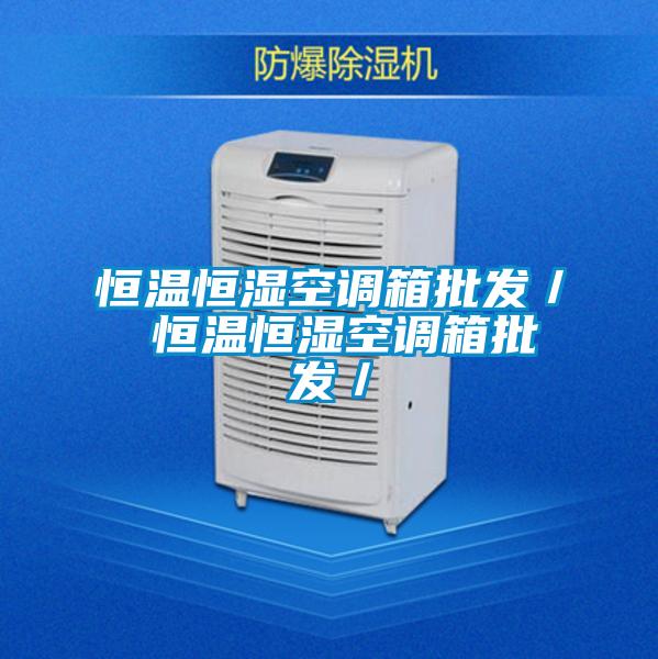 恒溫恒濕空調箱批發(fā)/ 恒溫恒濕空調箱批發(fā)/