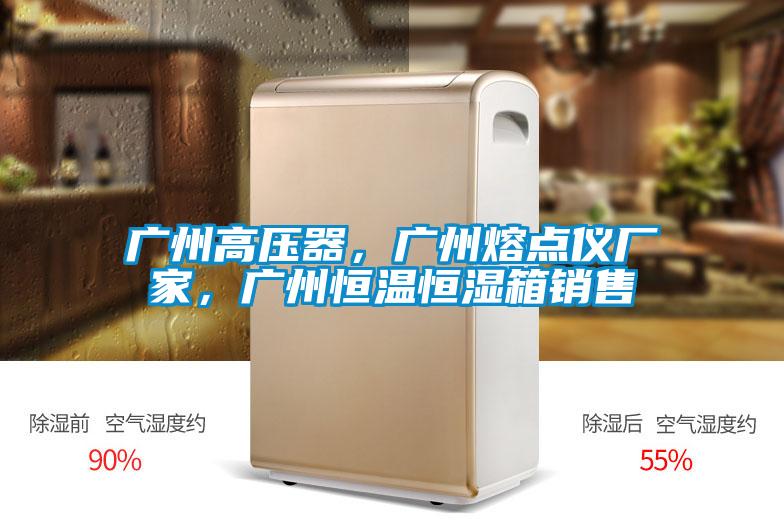 廣州高壓器，廣州熔點儀廠家，廣州恒溫恒濕箱銷售