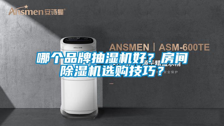 哪個(gè)品牌抽濕機(jī)好？房間除濕機(jī)選購(gòu)技巧？