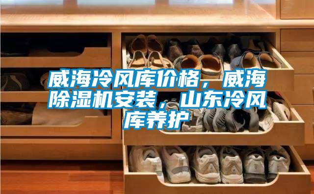 威海冷風(fēng)庫價(jià)格，威海除濕機(jī)安裝，山東冷風(fēng)庫養(yǎng)護(hù)