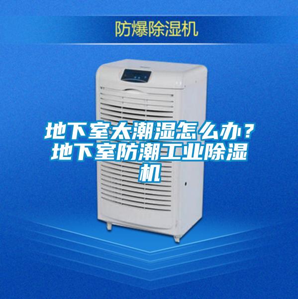 地下室太潮濕怎么辦？地下室防潮工業(yè)除濕機(jī)