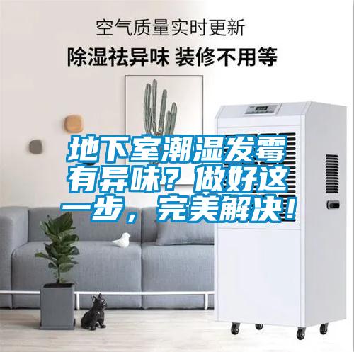 地下室潮濕發(fā)霉有異味？做好這一步，完美解決！
