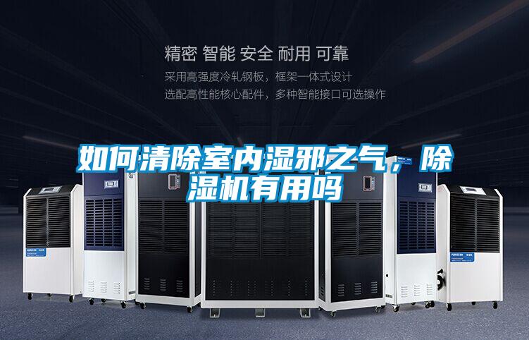 如何清除室內(nèi)濕邪之氣，除濕機有用嗎