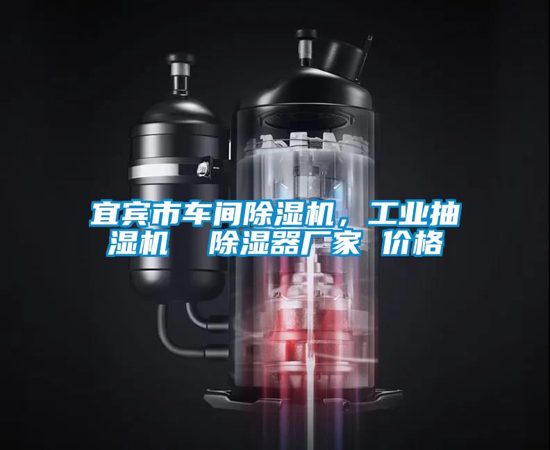 宜賓市車間除濕機，工業(yè)抽濕機  除濕器廠家 價格