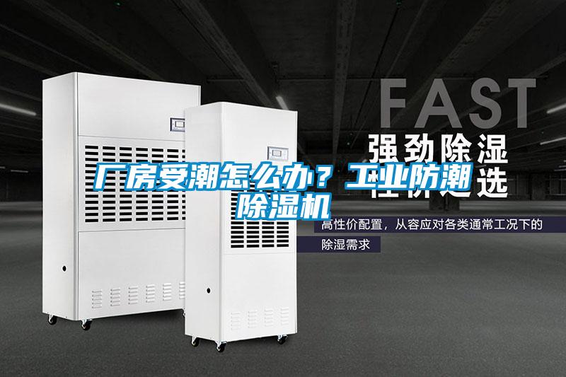 廠房受潮怎么辦？工業(yè)防潮除濕機