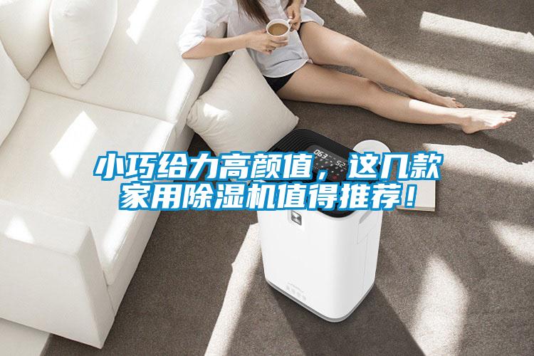 小巧給力高顏值，這幾款家用除濕機值得推薦！