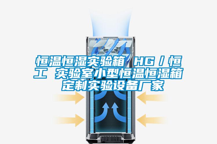 恒溫恒濕實(shí)驗(yàn)箱 HG/恒工 實(shí)驗(yàn)室小型恒溫恒濕箱 定制實(shí)驗(yàn)設(shè)備廠家