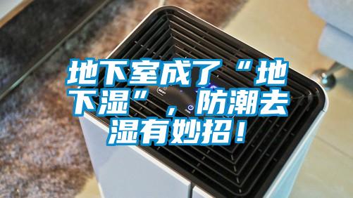 地下室成了“地下濕”，防潮去濕有妙招！