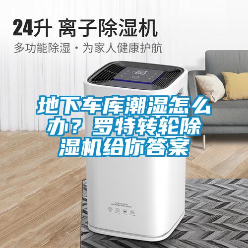 地下車庫潮濕怎么辦?羅特轉(zhuǎn)輪除濕機(jī)給你答案