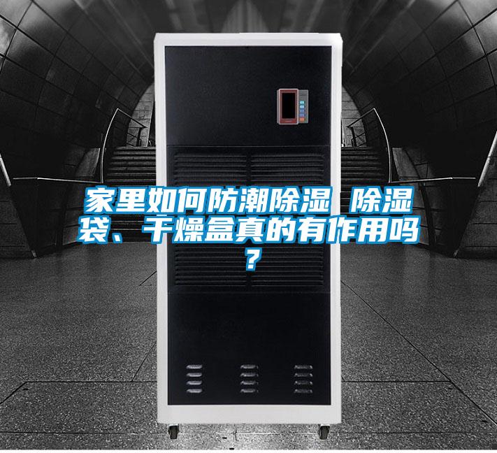 家里如何防潮除濕 除濕袋、干燥盒真的有作用嗎？