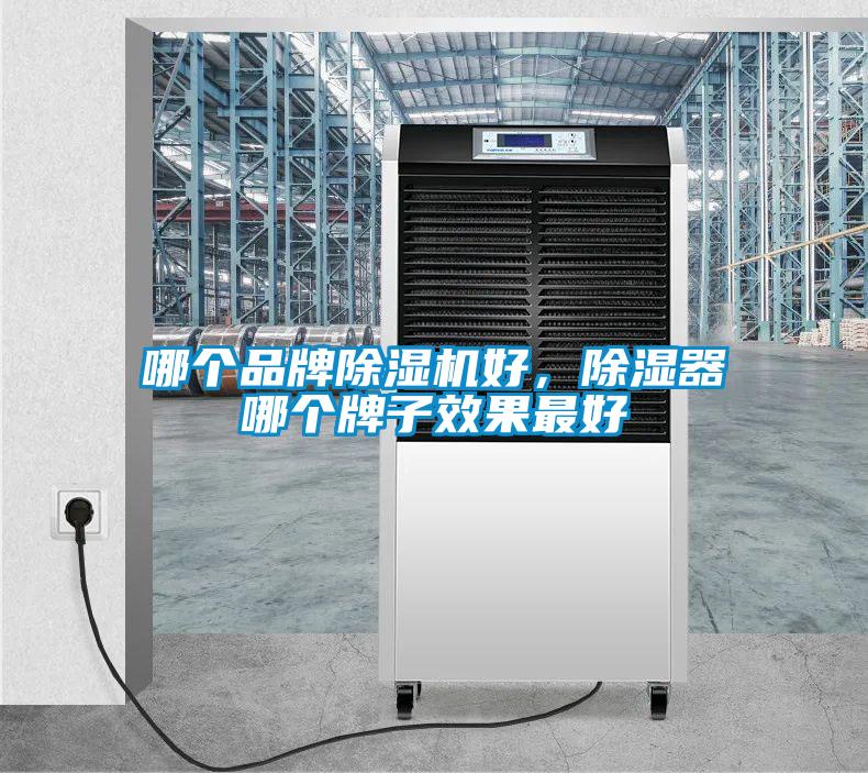 哪個(gè)品牌除濕機(jī)好，除濕器哪個(gè)牌子效果最好