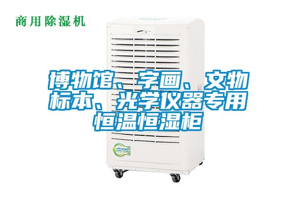 博物館、字畫、文物標(biāo)本、光學(xué)儀器專用恒溫恒濕柜