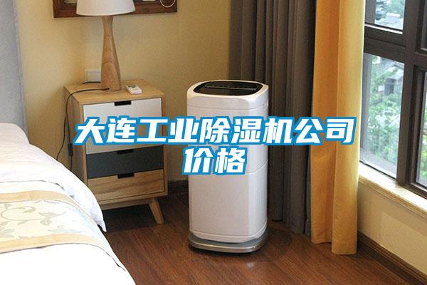 大連工業(yè)除濕機(jī)公司價格