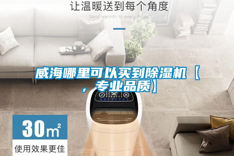 威海哪里可以買到除濕機(jī)【，專業(yè)品質(zhì)】