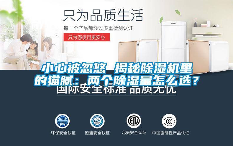 小心被忽悠 揭秘除濕機(jī)里的貓膩：兩個除濕量怎么選？