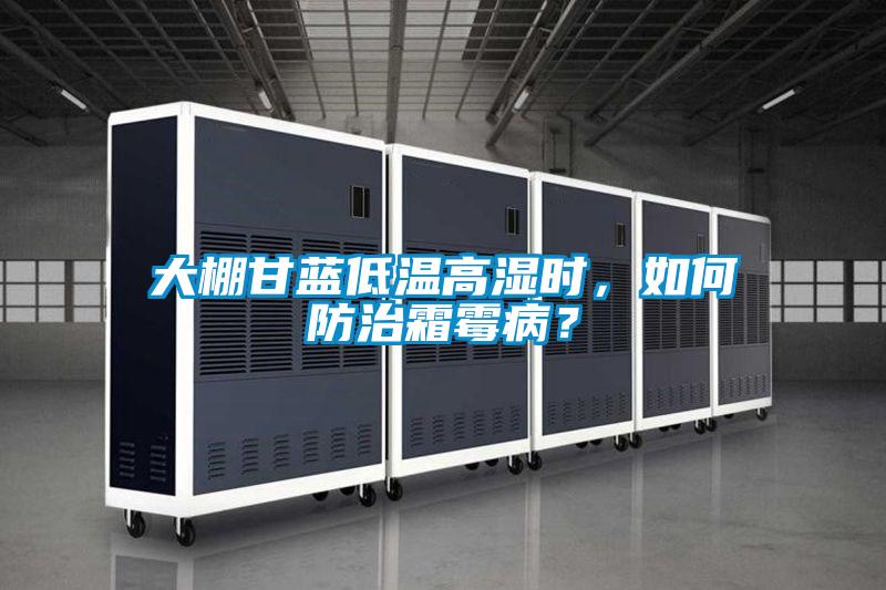 大棚甘藍(lán)低溫高濕時(shí)，如何防治霜霉?。?/></p>
						    <p style=