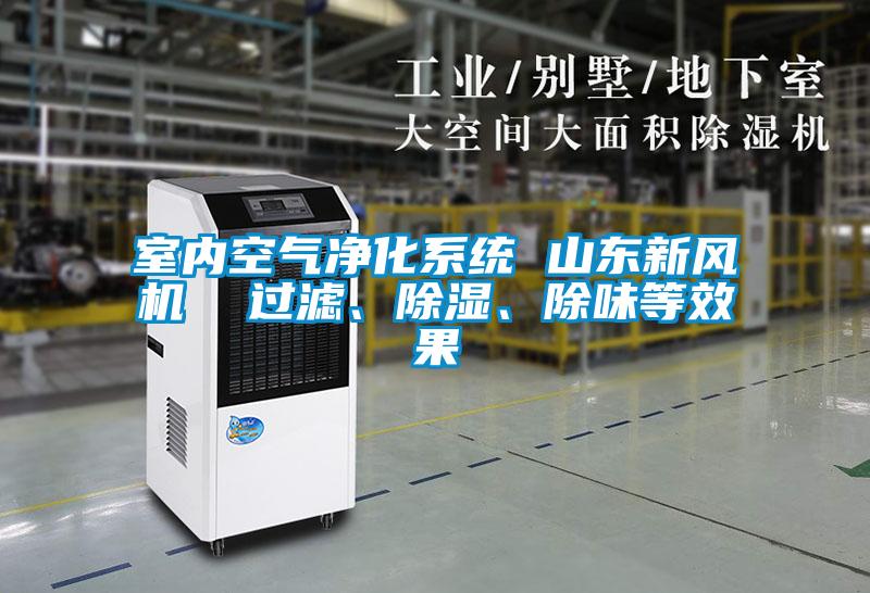 室內(nèi)空氣凈化系統(tǒng) 山東新風(fēng)機  過濾、除濕、除味等效果