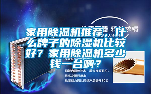 家用除濕機推薦，什么牌子的除濕機比較好？家用除濕機多少錢一臺?。?/></p>
						    <p style=