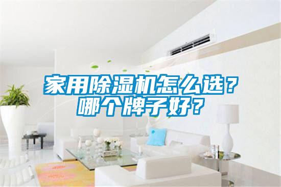 家用除濕機怎么選？哪個牌子好？