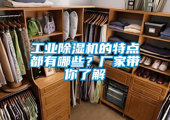 工業(yè)除濕機(jī)的特點(diǎn)都有哪些？廠家?guī)懔私?/></p>
						    <p style=