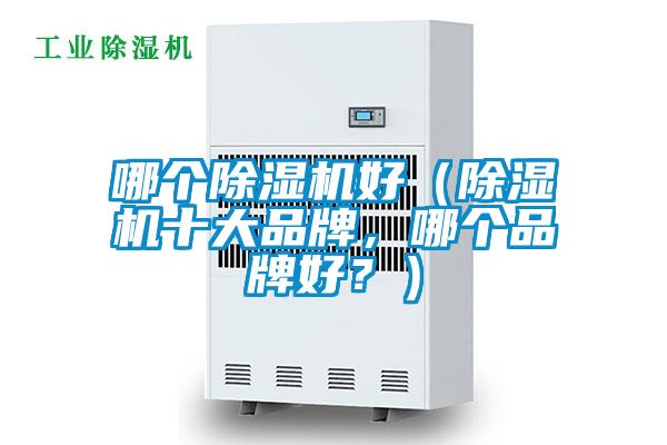 哪個(gè)除濕機(jī)好（除濕機(jī)十大品牌，哪個(gè)品牌好？）