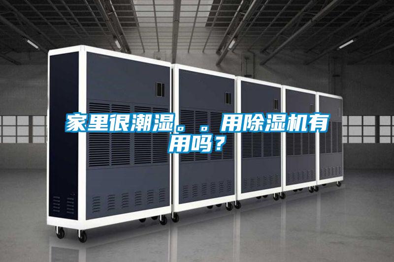 家里很潮濕。。用除濕機(jī)有用嗎？