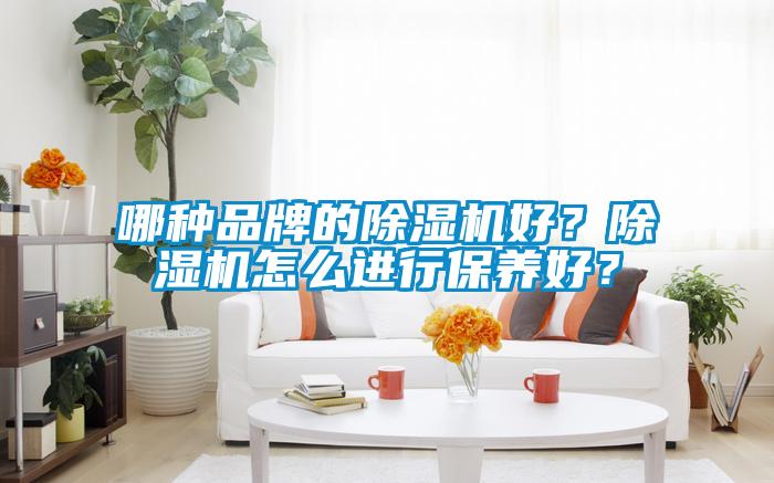 哪種品牌的除濕機(jī)好？除濕機(jī)怎么進(jìn)行保養(yǎng)好？