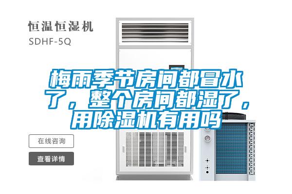 梅雨季節(jié)房間都冒水了，整個(gè)房間都濕了，用除濕機(jī)有用嗎