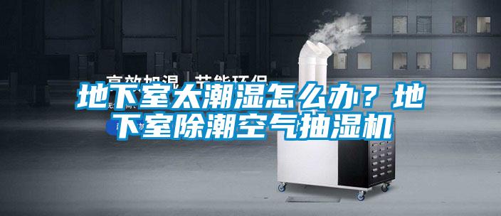 地下室太潮濕怎么辦?地下室除潮空氣抽濕機(jī)