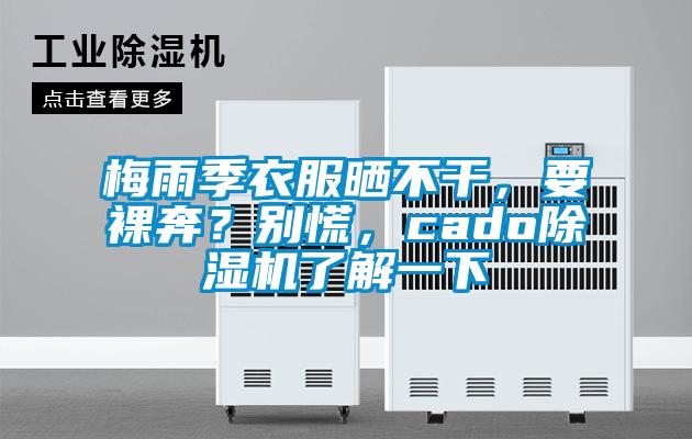 梅雨季衣服曬不干，要裸奔？別慌，cado除濕機(jī)了解一下