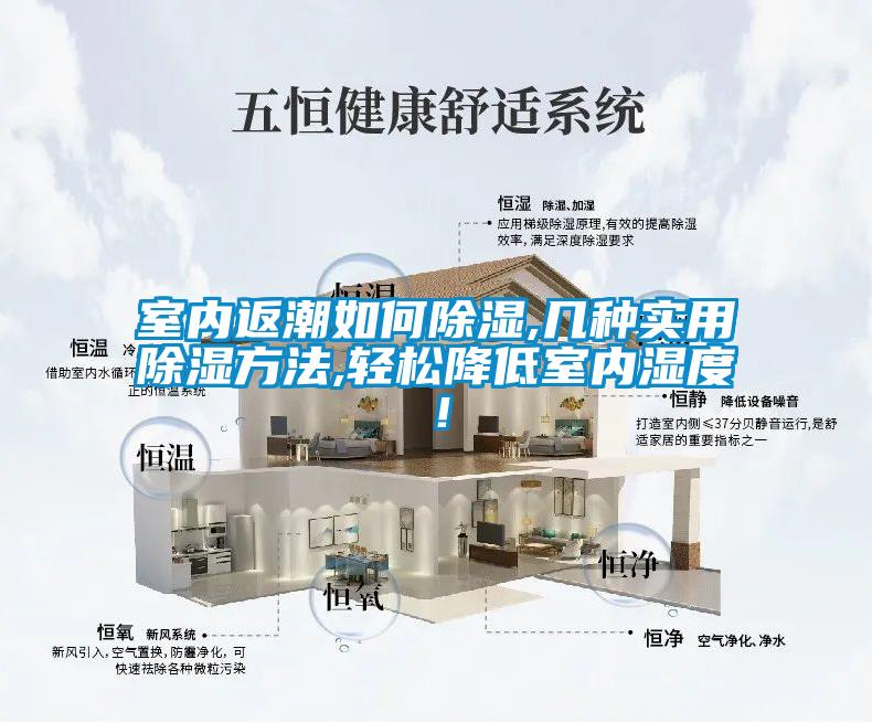 室內(nèi)返潮如何除濕,幾種實(shí)用除濕方法,輕松降低室內(nèi)濕度！