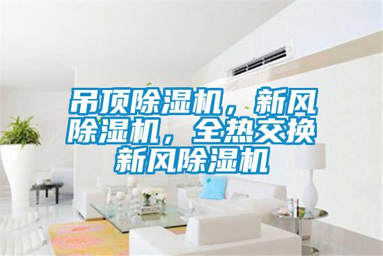 吊頂除濕機，新風除濕機，全熱交換新風除濕機