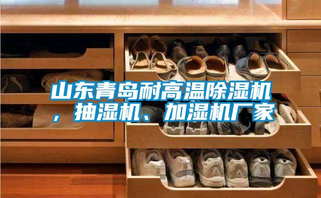 山東青島耐高溫除濕機(jī)，抽濕機(jī)、加濕機(jī)廠家