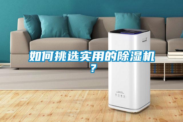 如何挑選實(shí)用的除濕機(jī)？