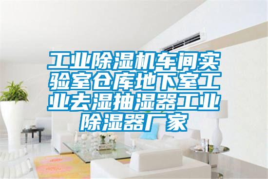 工業(yè)除濕機(jī)車間實(shí)驗(yàn)室倉(cāng)庫(kù)地下室工業(yè)去濕抽濕器工業(yè)除濕器廠家