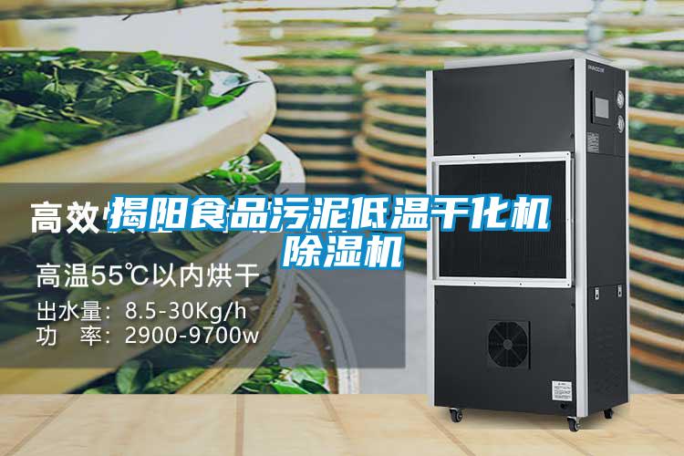 揭陽(yáng)食品污泥低溫干化機(jī) 除濕機(jī)