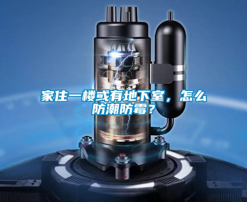 家住一樓或有地下室，怎么防潮防霉？