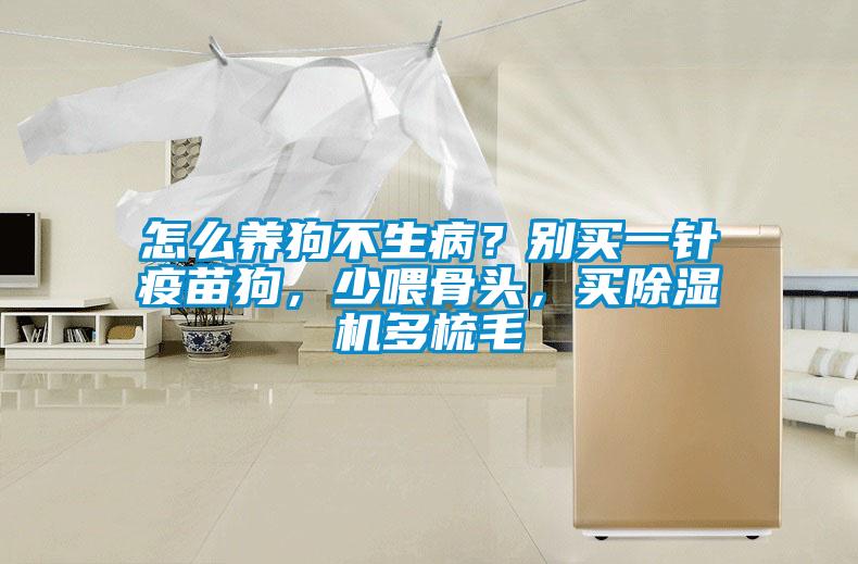 怎么養(yǎng)狗不生??？別買一針疫苗狗，少喂骨頭，買除濕機(jī)多梳毛