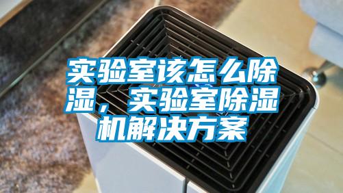 實驗室該怎么除濕，實驗室除濕機解決方案