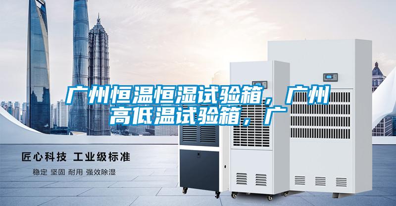 廣州恒溫恒濕試驗箱，廣州高低溫試驗箱，廣