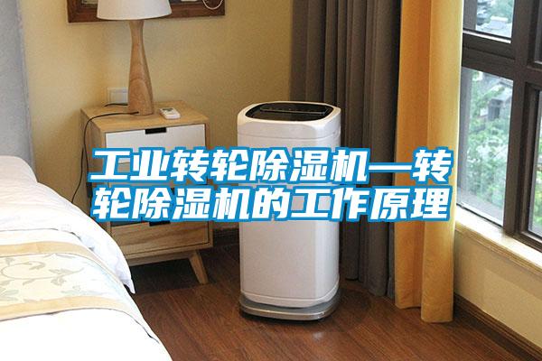 工業(yè)轉(zhuǎn)輪除濕機—轉(zhuǎn)輪除濕機的工作原理