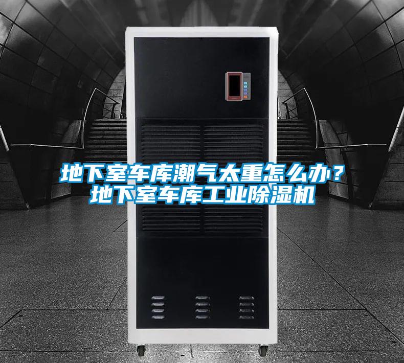 地下室車庫潮氣太重怎么辦？地下室車庫工業(yè)除濕機
