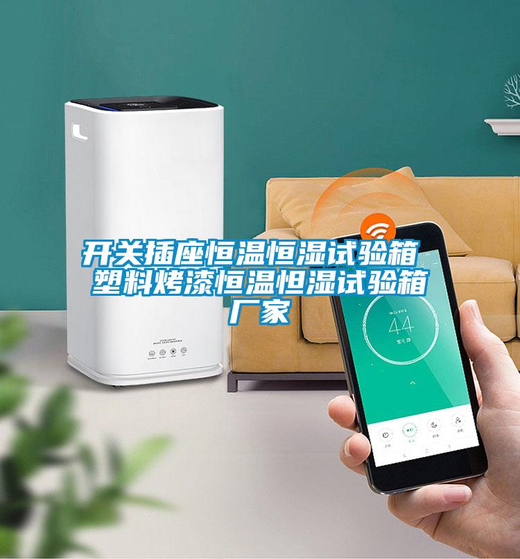 開關(guān)插座恒溫恒濕試驗箱 塑料烤漆恒溫怛濕試驗箱廠家