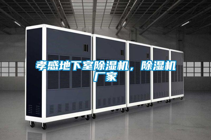 孝感地下室除濕機，除濕機廠家