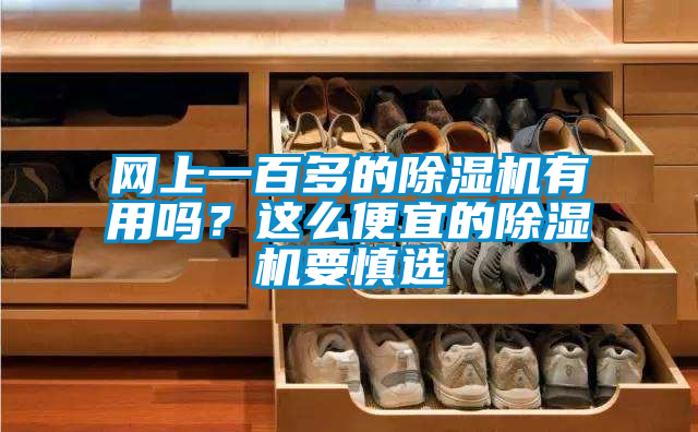 網(wǎng)上一百多的除濕機(jī)有用嗎？這么便宜的除濕機(jī)要慎選