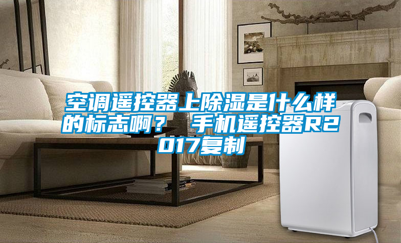 空調(diào)遙控器上除濕是什么樣的標(biāo)志??？ 手機(jī)遙控器R2017復(fù)制