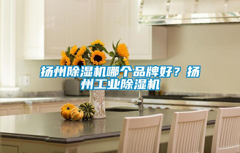 揚(yáng)州除濕機(jī)哪個(gè)品牌好？揚(yáng)州工業(yè)除濕機(jī)